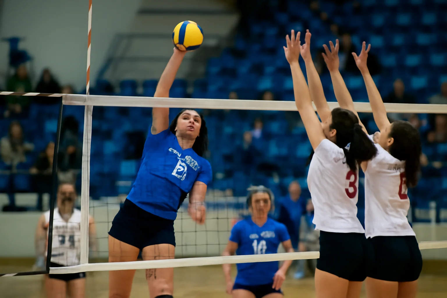 Constanța: CSM Constanța pregătește duel pe teren propriu cu CSM Volei Alba-Blaj în Divizia A1